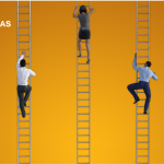 rentabilidad de proyectos