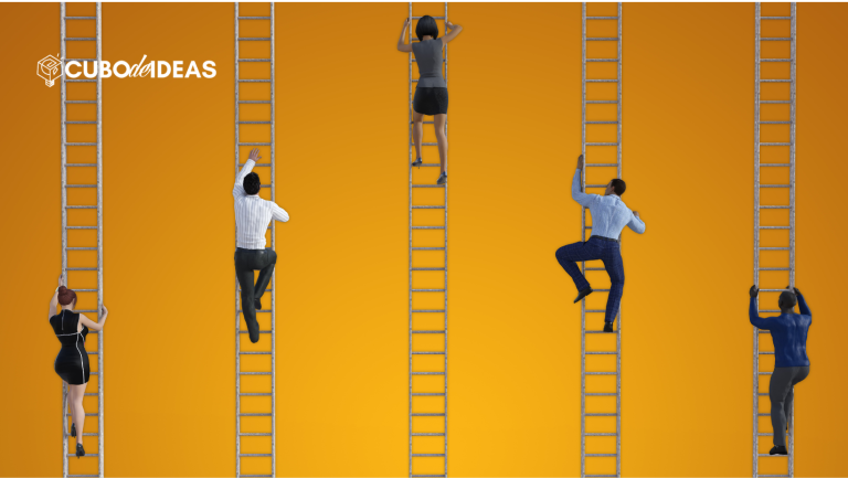 rentabilidad de proyectos