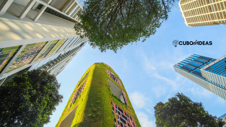 ISO 9001 y sostenibilidad